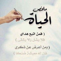 صقر المنهالي