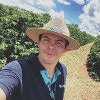 Arvito Morais