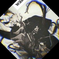 WAKALLAH-TV الفلسطيني