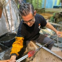 David Peña Portabales