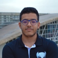 Mohamed Zied Brahmi