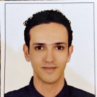 Mohamed Ismail Mohamed