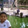 Manuel Gomez G