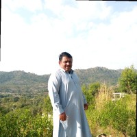 Musab Ali