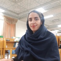 Shadi Hashemi