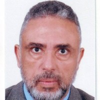 mohamed meshref