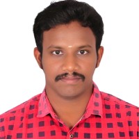 Veerapandian P