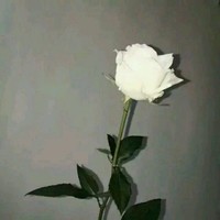 周雨祥