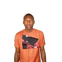 Theophilus Ojo
