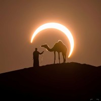 Walid Hossain