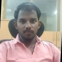 Vincent Raj