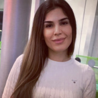 Dalan Arabaci