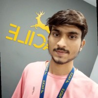 Vikas Pardhe