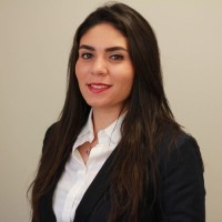 Dina Amer