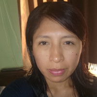 Lourdes Villca