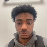 Prince Fields