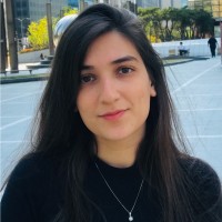 Amit Bellaiche
