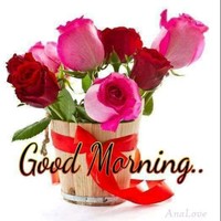Saleem Javed