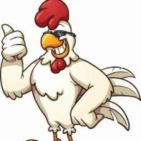 Captain Rooster
