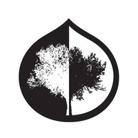 Doc Wright