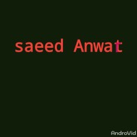 Saeed Anwar