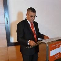 Liviu Brebenel