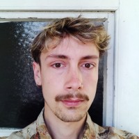 Felix Kraus
