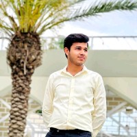 Hamid Shafiq