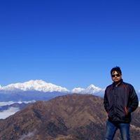 Dipan Roy