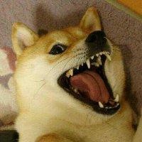 许一枫