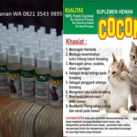OBAT KUCING FLU