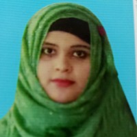 Dilruba Mitu
