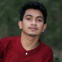 Hasibul Hussain