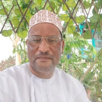 Nasser Mohamed Ahmed