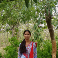 Bhanu Reddy