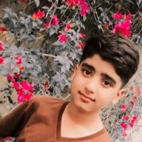 Ayyan Ali