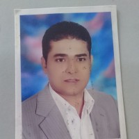 Amr Mohamed