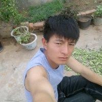 何瑞兴