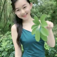 Alma lin