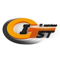 GITST IT Solutions for Businesses and  Individuals