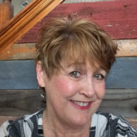 Terri Schmidt