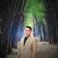 andy sugito