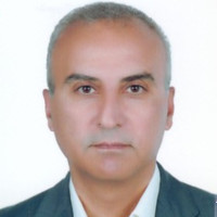 Farshid Malek Ghaini