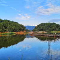 饶玉明