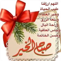 فوزي عمير عمير