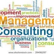 Cisnand B.V Consulting Ltd