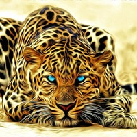 Алла Солнушко