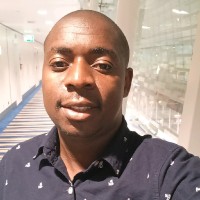 Tatenda Matipangamisa