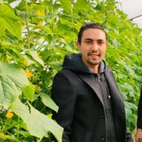 Ahmed Sobhy