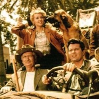 Laura Disney Williams, MBA